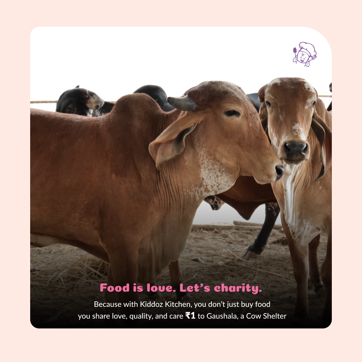 Choco Dooz & Oats n’ Bajra & Ragi Bliss Cookies Pack of 3 (420g)